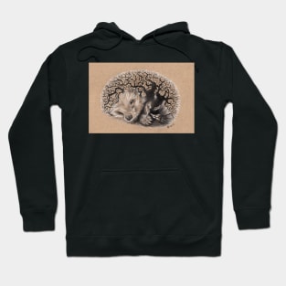 Hibernation Hoodie